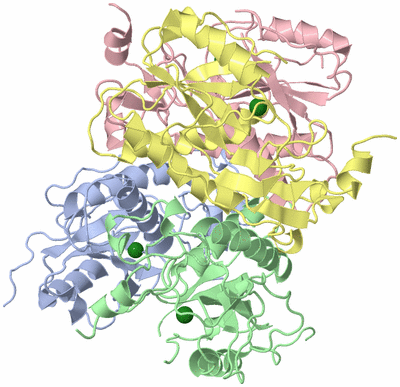 Image Asym./Biol. Unit