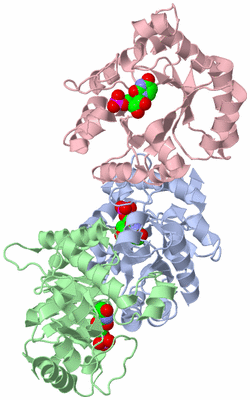 Image Asymmetric Unit