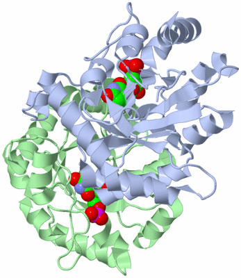 Image Biological Unit 1