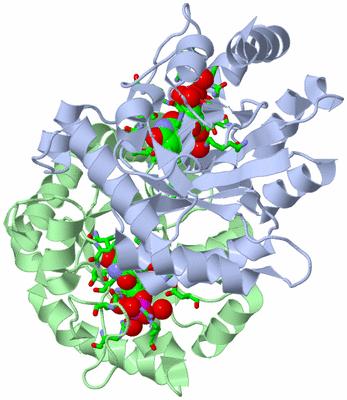 Image Biol. Unit 1 - sites