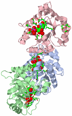 Image Asym. Unit - sites