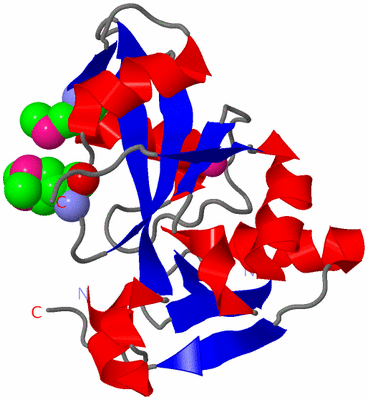 Image Asym./Biol. Unit