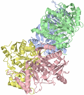 Image Asym./Biol. Unit