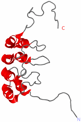 Image NMR Structure - model 1