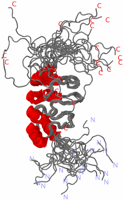 Image NMR Structure - all models