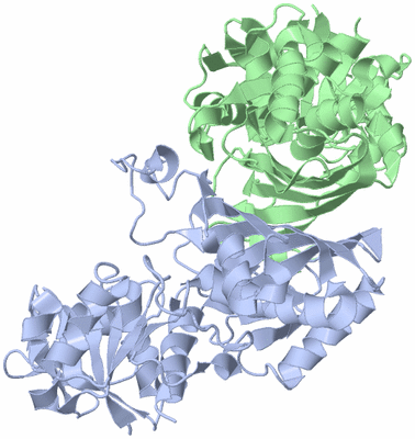 Image Biological Unit 1