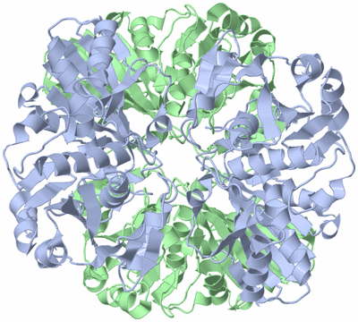 Image Biological Unit 2