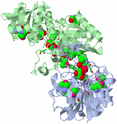 Image Biol. Unit 1 - sites