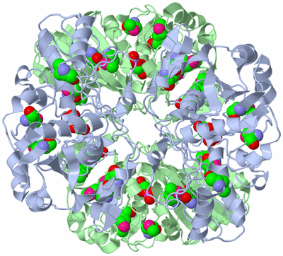 Image Biological Unit 2