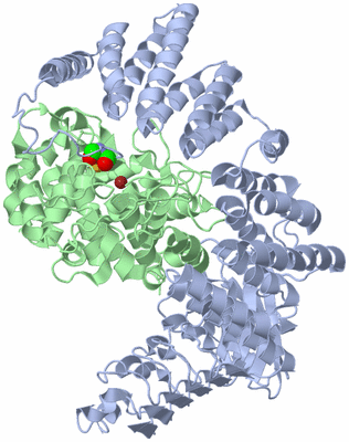 Image Biological Unit 1