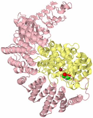 Image Biological Unit 2