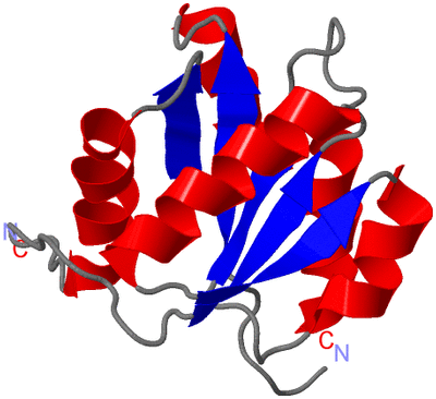 Image Asymmetric Unit