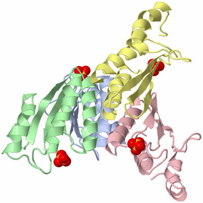 Image Biological Unit 1