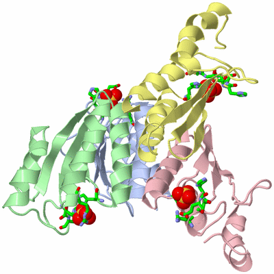 Image Biol. Unit 1 - sites