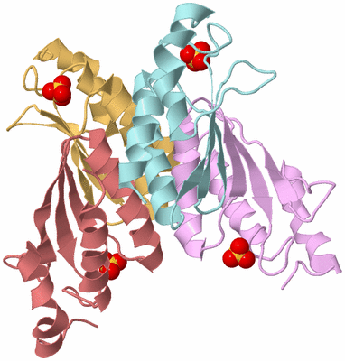 Image Biological Unit 2