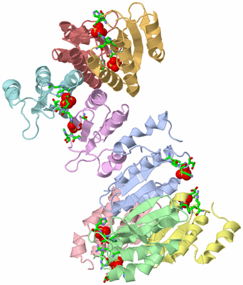 Image Asym. Unit - sites