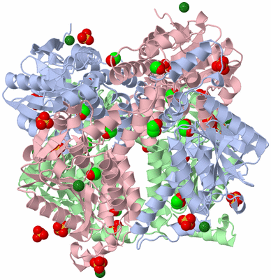 Image Biological Unit 1