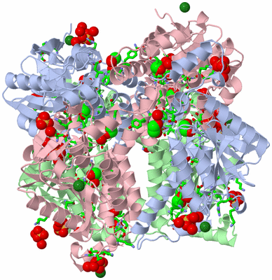 Image Biol. Unit 1 - sites