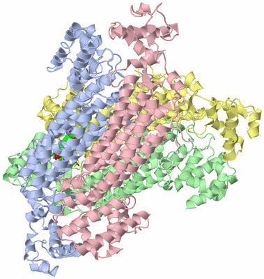 Image Asym./Biol. Unit - sites