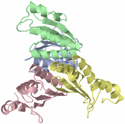 Image Biological Unit 1