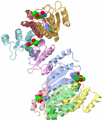 Image Asymmetric Unit