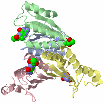 Image Biological Unit 1
