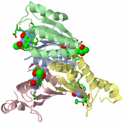 Image Biol. Unit 1 - sites