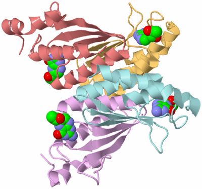 Image Biological Unit 2