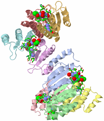 Image Asym. Unit - sites
