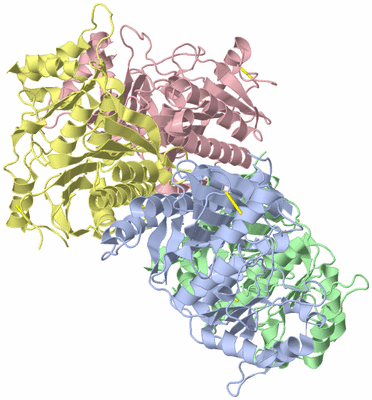 Image Asym./Biol. Unit