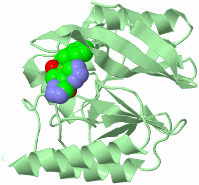 Image Biological Unit 2