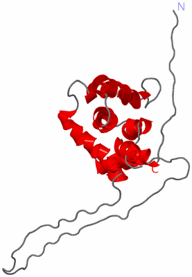 Image NMR Structure - model 1