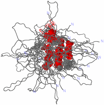 Image NMR Structure - all models