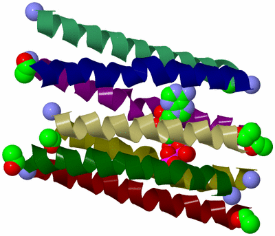 Image Theoretical Model