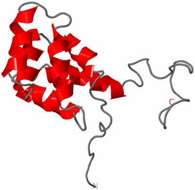 Image NMR Structure - model 1