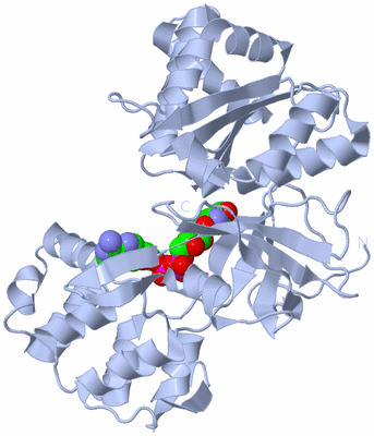 Image Biological Unit 1