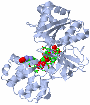 Image Biol. Unit 1 - sites