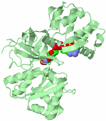 Image Biological Unit 2