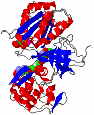 Image Asym./Biol. Unit