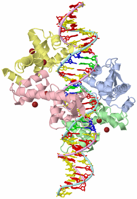 Image Asym./Biol. Unit