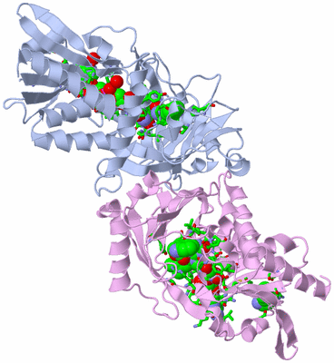 Image Biol. Unit 1 - sites
