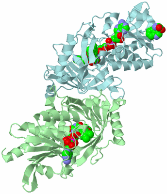 Image Biological Unit 2