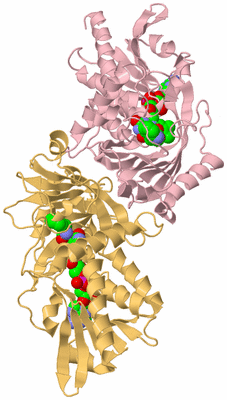 Image Biological Unit 3