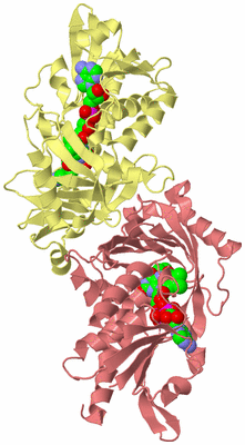 Image Biological Unit 4