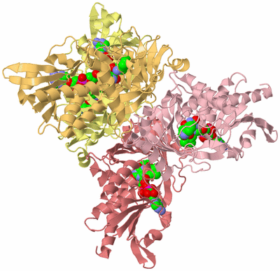Image Biological Unit 5