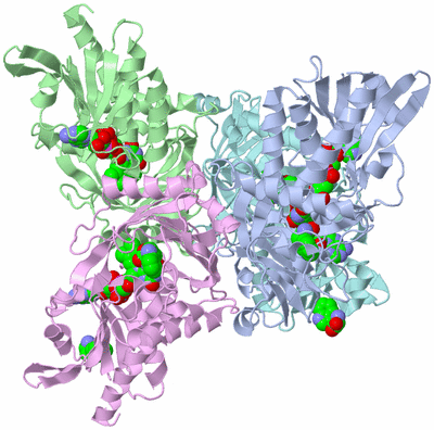 Image Biological Unit 6
