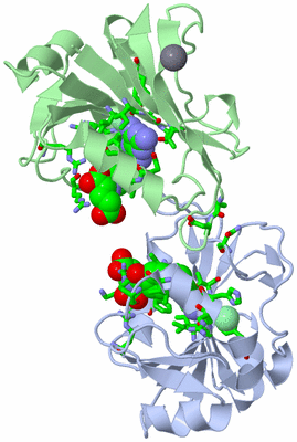 Image Asym./Biol. Unit - sites