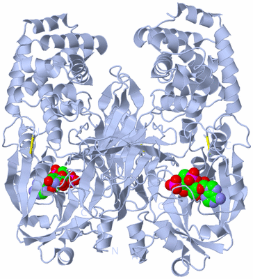 Image Biological Unit 1