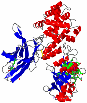 Image Asym. Unit - sites