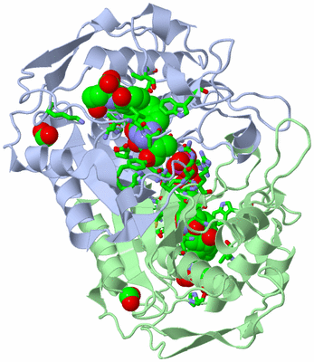 Image Asym./Biol. Unit - sites